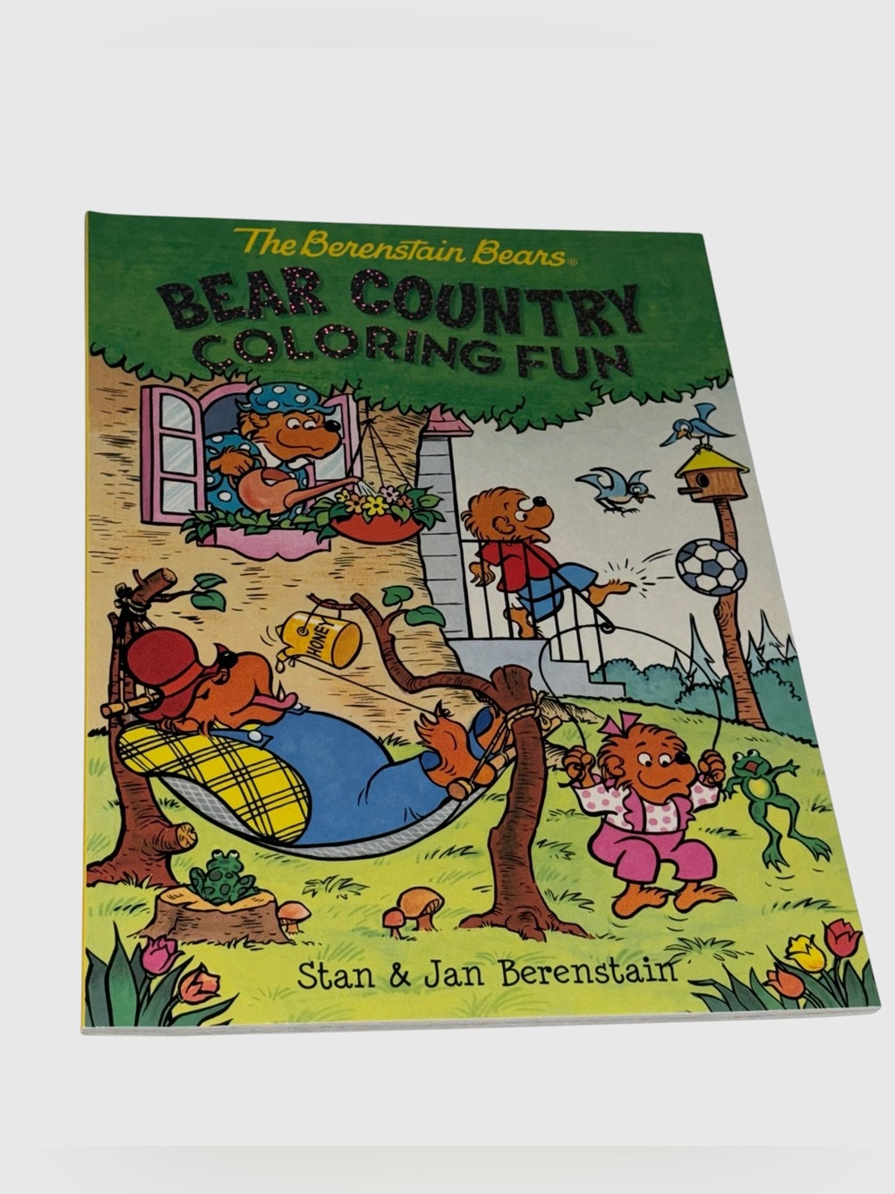 The Berenstain Bears Bear Country Fun Coloring Book